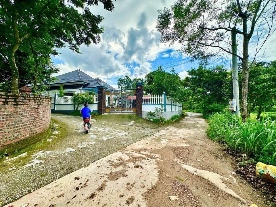 Đất nền Đồng Tĩnh 135m² - Tiềm năng tăng giá, view cánh đồng!