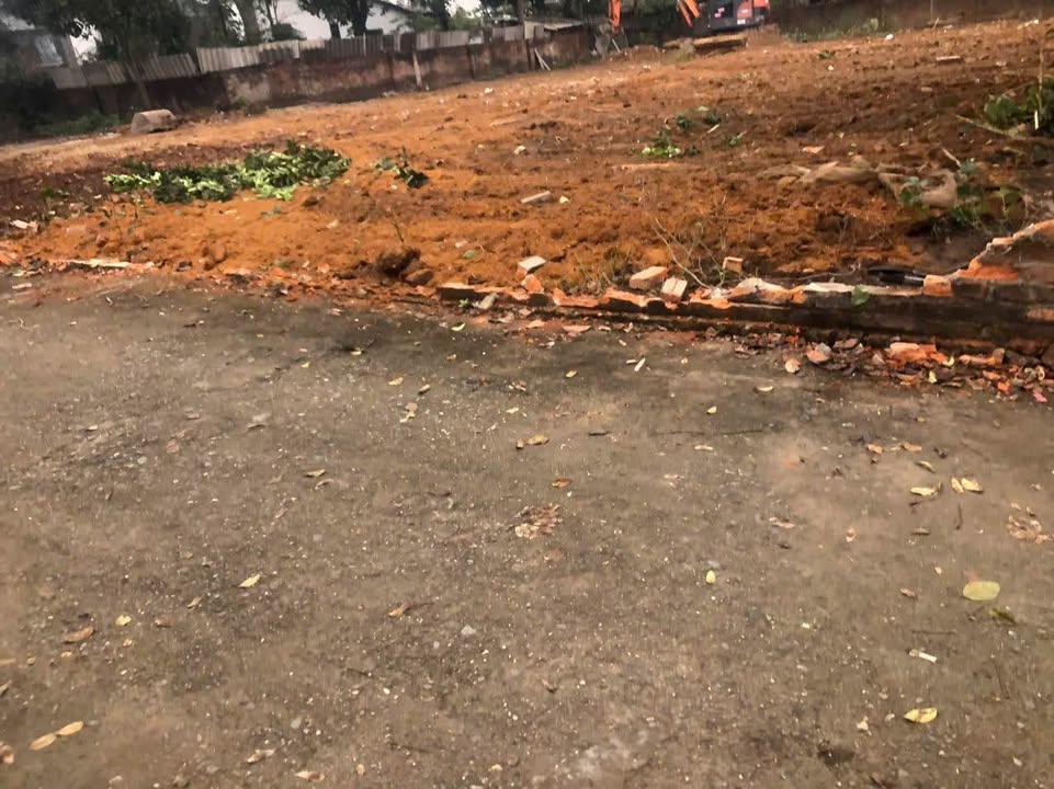 Đất nền Tam Quan Tam Đảo 800m² giá 2.98 tỷ - Sổ hồng chính chủ!