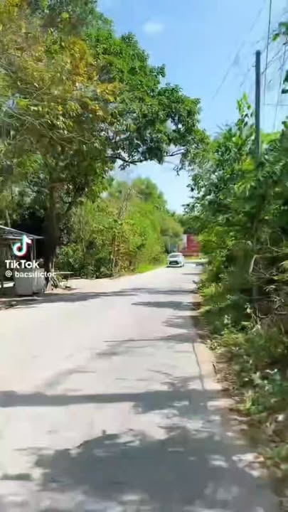 Đất nền Phường An Thới 9.000m² 72 tỷ - Sổ đỏ chính chủ