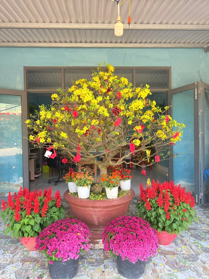 Đất nền Epic Town Tam Phước 200m² 4,9 tỷ - Pháp lý rõ ràng