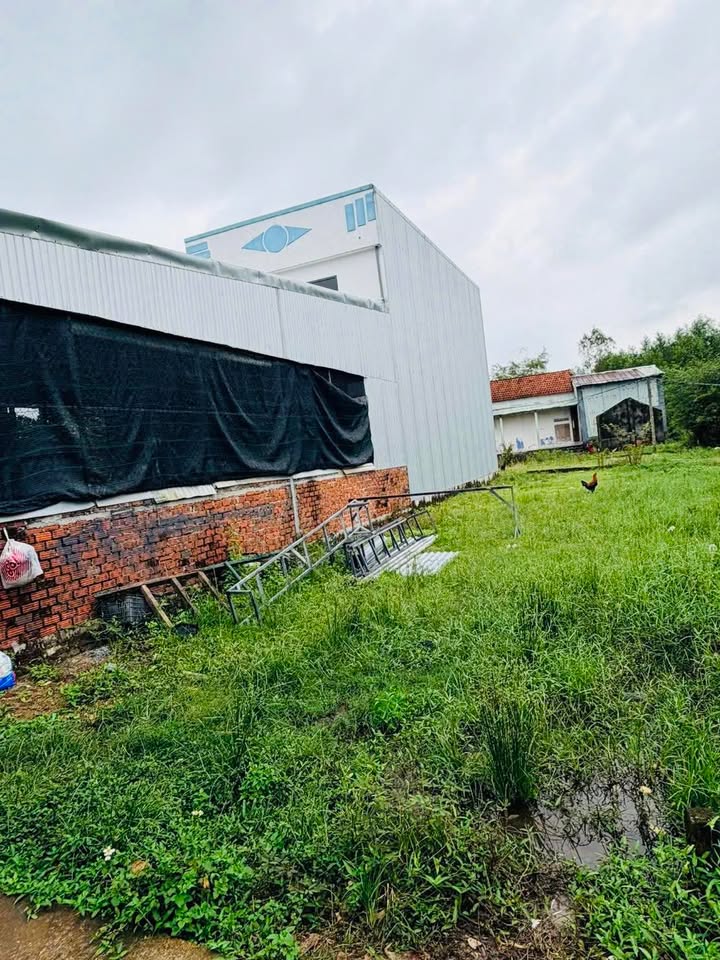 Bán đất 134m² Huỳnh Thúc Kháng, Quảng Nam - Sổ hồng sẵn, giá 590 triệu