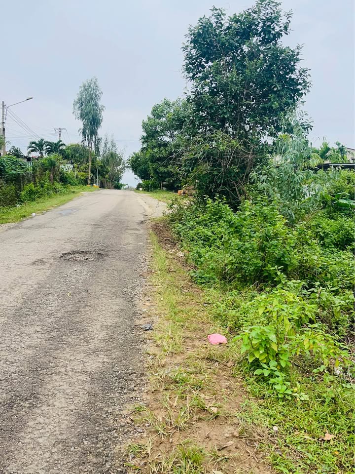 Đất nền Cảng cá Tam Phú, Tam Kỳ 145m² - Chỉ hơn 1 tỷ, tiềm năng tăng giá!