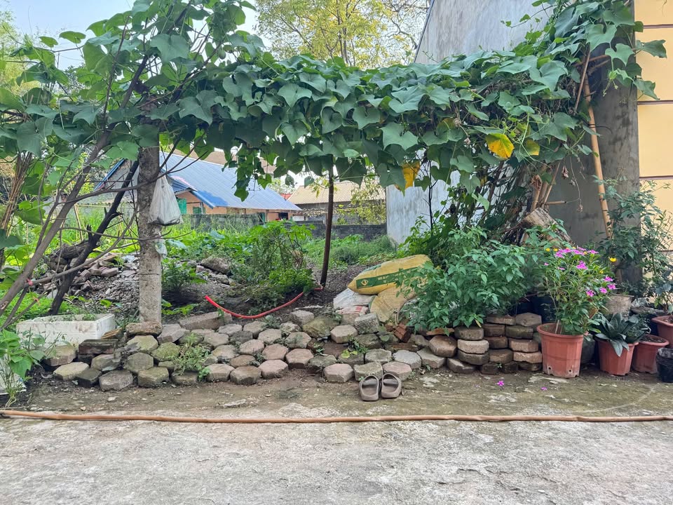 Đất Nền 80m² Đường Quang Trung, Thái Nguyên - Sổ Đỏ Sẵn Sàng, Giá Tốt