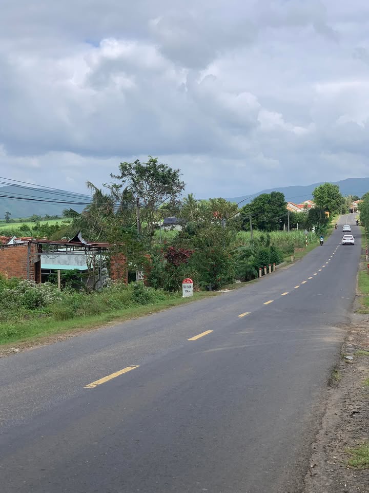 Đất nền Suối Bạc Sơn Hòa 245m² - Đất thổ cư 100%!