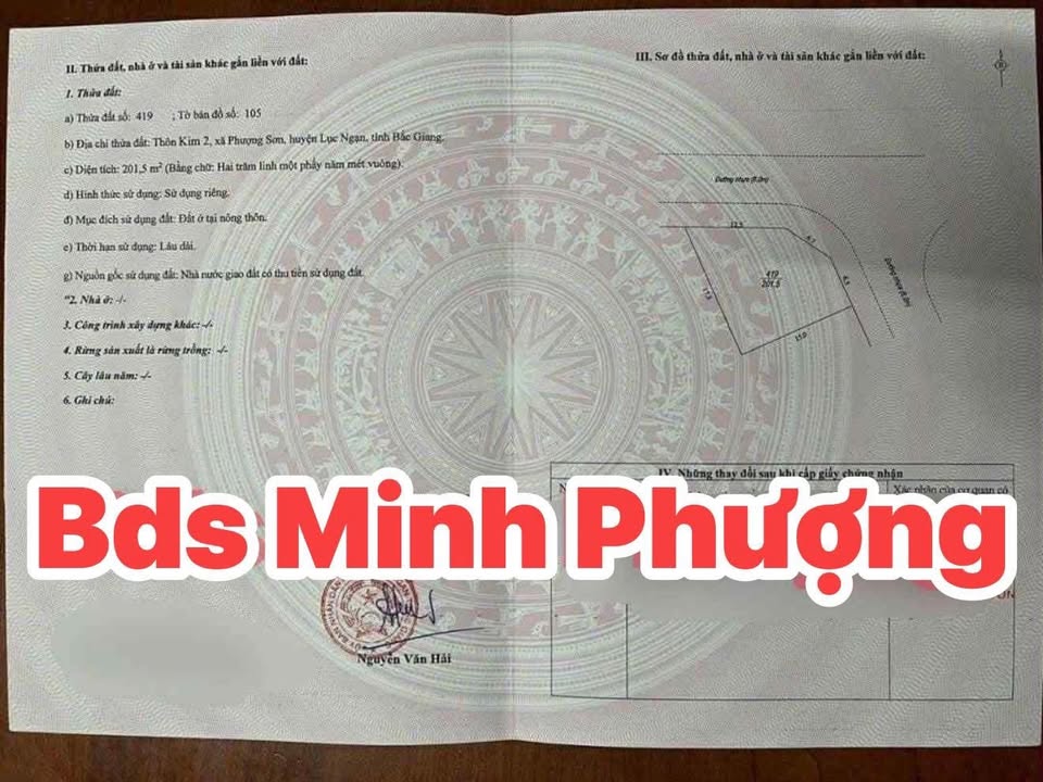 Đất Lô Góc 2 Mặt Tiền 201.5m² Phượng Sơn, Bắc Giang - Sổ Đỏ, Giá Tốt