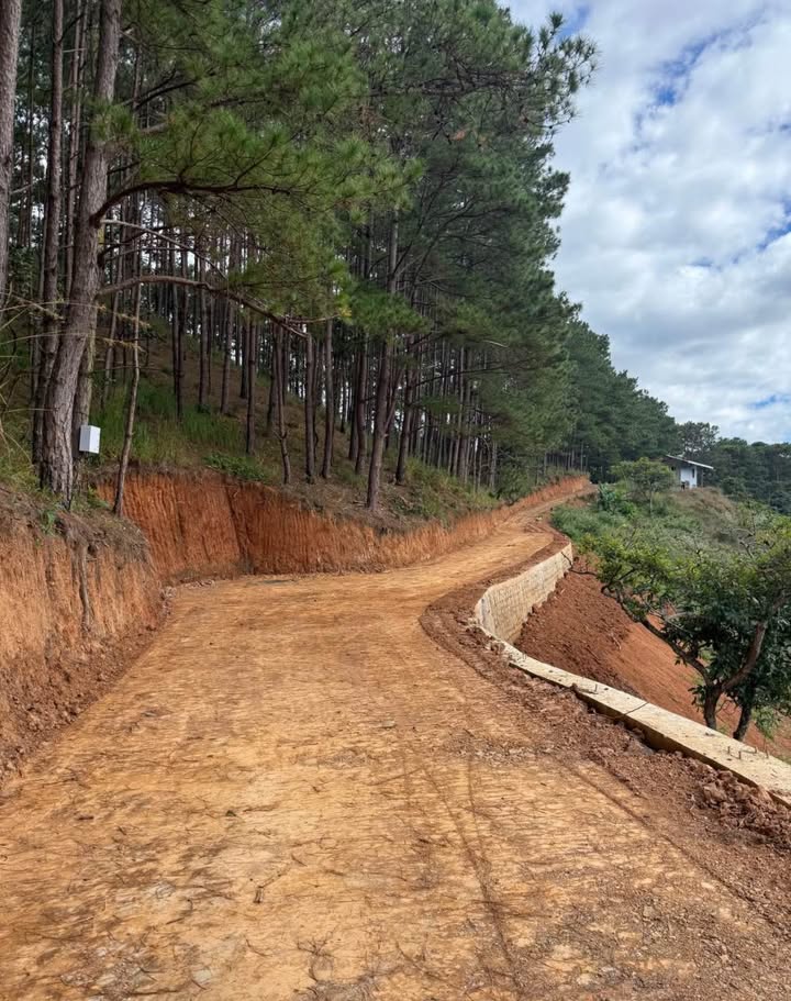 Đất nền Mê Linh, Lâm Hà 1000m² giá 650 triệu - Sổ đỏ chính chủ!