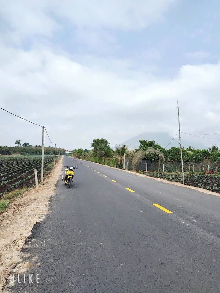 Đất nền Xã Phan, Dương Minh Châu 660m² - Sổ đỏ chính chủ