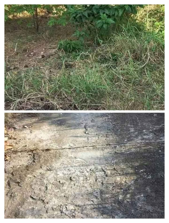 Đất nền Giao Long, Bến Tre 105m² 540 triệu - Sổ đỏ chính chủ!