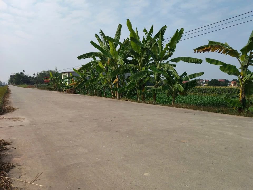 Đất Đấu Giá Tân Yên 120m² - Lộc Khai Xuân, Kinh Doanh Sáng Giá