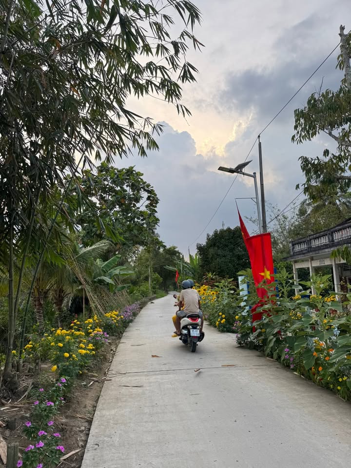 Đất Vườn Phú Hữu 204m² Sổ Hồng - View Sông Mát Mẻ, Giá Đầu Tư 599 Triệu