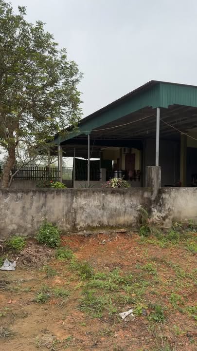 Đất nền Nam Đàn 250m² - Mặt tiền 20m, Sổ đỏ chính chủ, Giá 2 tỷ