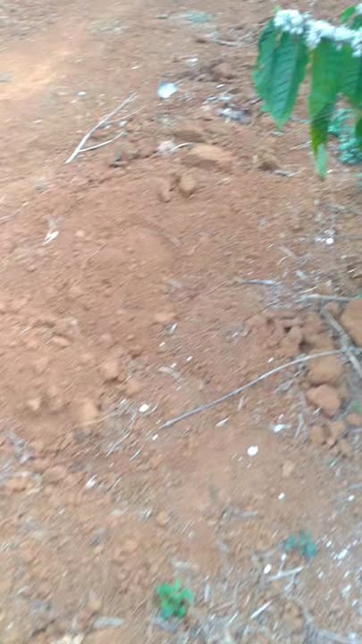 Đất Đắk Song 3240m² 1.6 tỷ - Sổ đỏ chính chủ