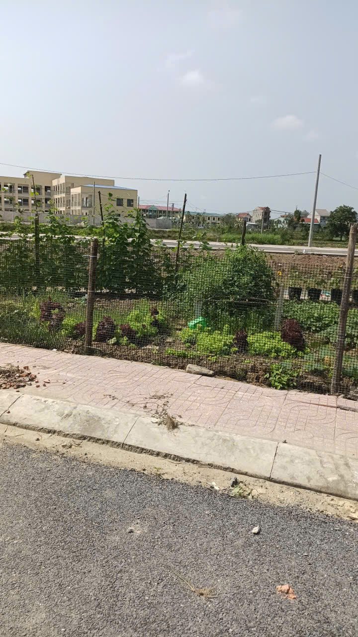 Đất Vàng Hưng Nguyên, Nghệ An - 94.7m² Hướng Nam, Ngay Cửa Ngõ VISIP