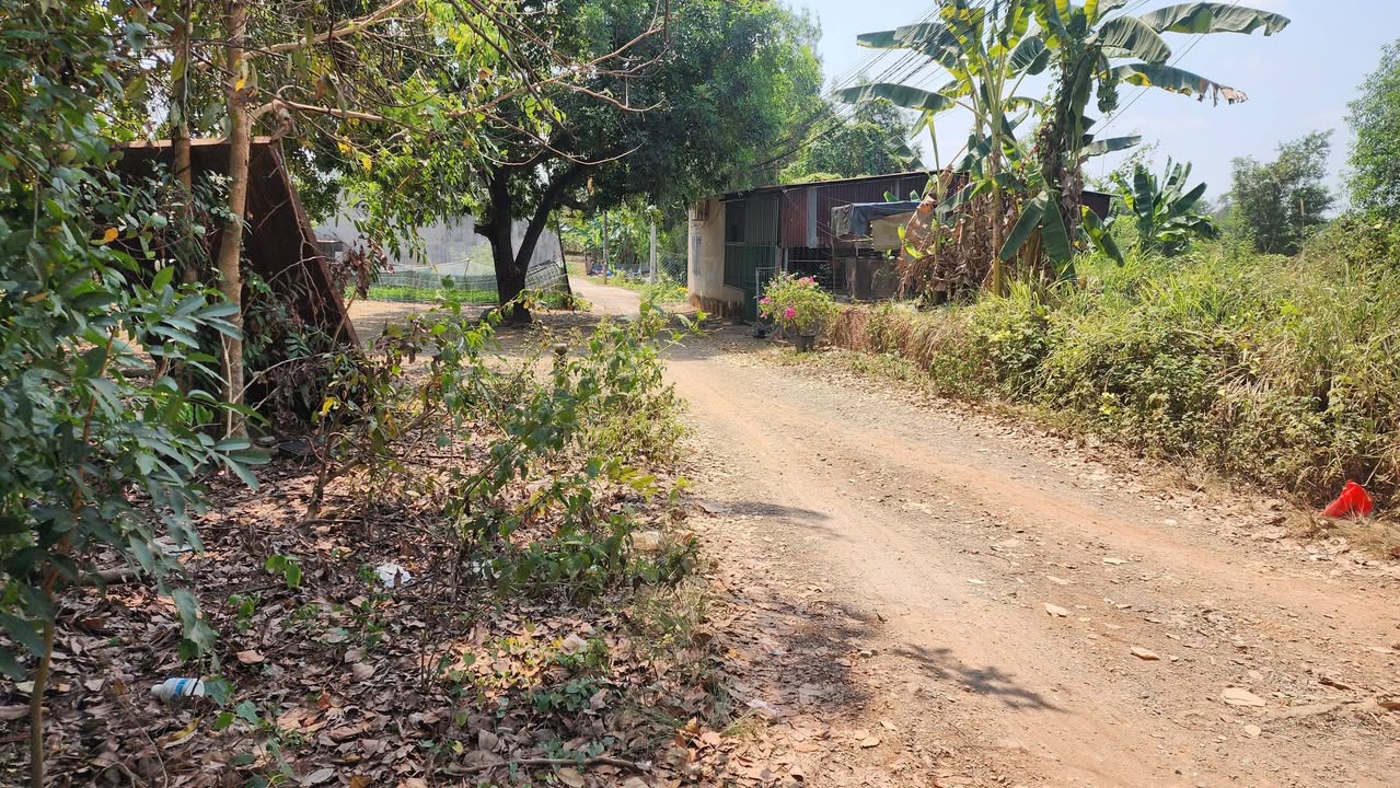 Đất nền Bình Hòa, Vĩnh Cửu 140m² - Giá tốt hiếm có!