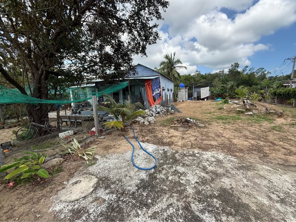 Đất Nền Sông Cầu 428m² - Giá Tốt Trước Tết, Sổ Hồng Thổ Cư