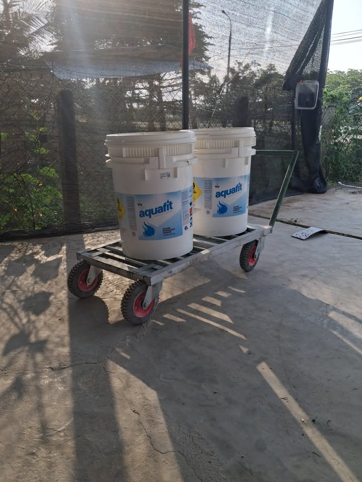 Đất Nền Ninh Thủy 100m² - Sổ Sẵn Gần Biển, Giá 1.1 Tỷ