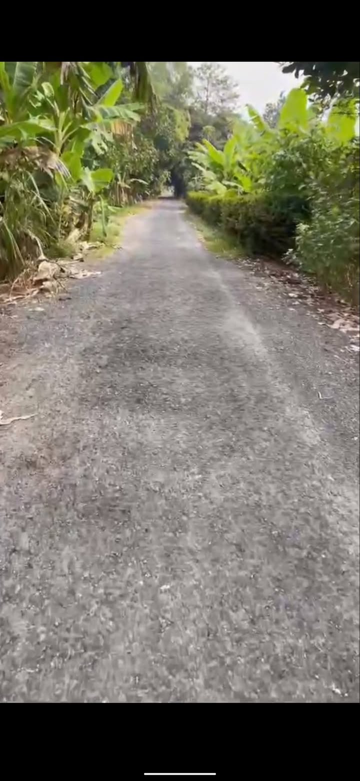 Đất nền Tân Phú Trung, Đồng Tháp - 930m² Sổ đỏ Giá 780 Triệu