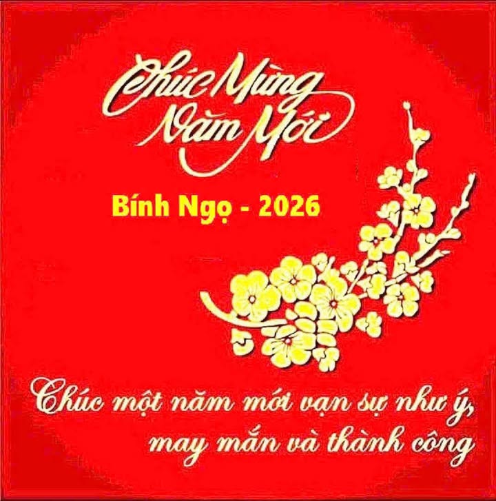 Đất nền Hòa Xuân Cẩm Lệ 172m2 16,5 tỷ - Sổ đỏ chính chủ