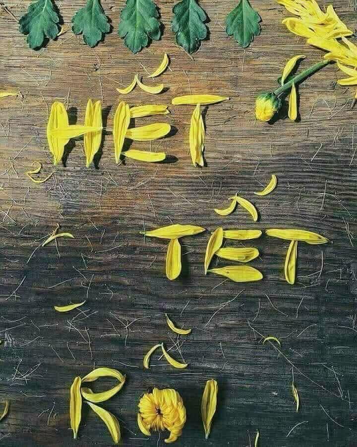 Nhà riêng Vĩnh Lương Nha Trang 57m² giá 499 triệu - Giá tốt hiếm có!