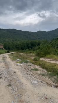 Bán Đất Rừng 10ha Xuân Ninh, Khánh Hòa - Đường Ô Tô, Giá 3 Tỷ