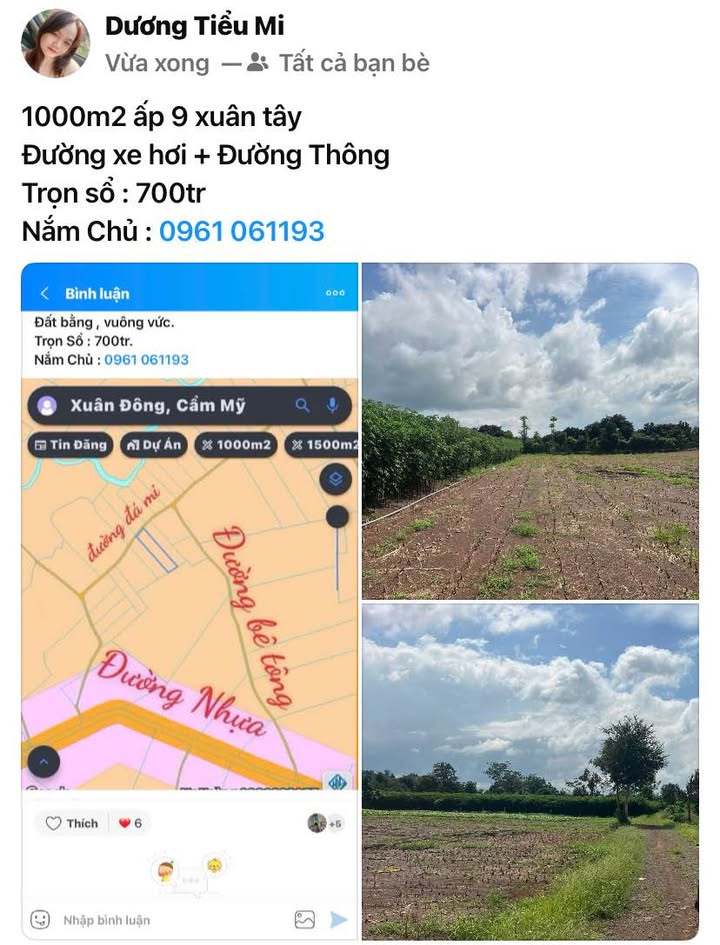 Đất Nền Cẩm Mỹ 1000m² - Sổ Hồng Riêng, Đường Xe Hơi Thông Thoáng