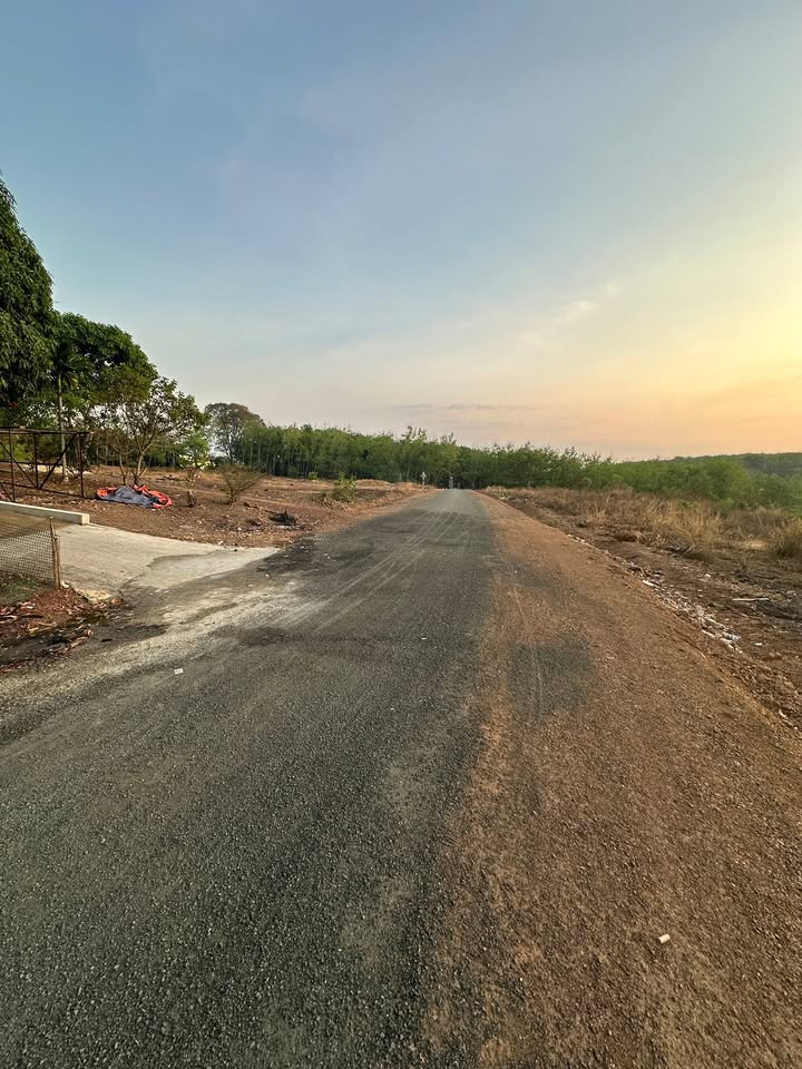 Đất nền Đồng Phú 324m² giá 360 triệu - Bán gấp, mặt tiền nhựa!