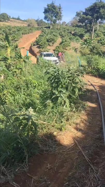 Bán Đất Nền Đắk Mil, Đắk Nông - 28.000m² Sổ Đỏ, Nguồn Thu Mạnh