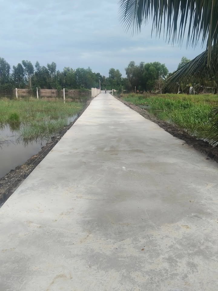 Đất Vườn Tiền Giang 2182m² - Sổ Hồng Sẵn, Giá Đầu Tư 1.047 Tỷ