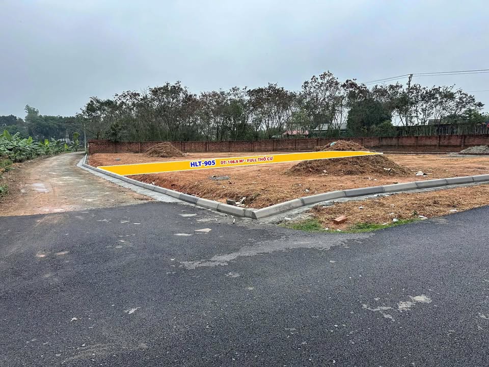 Đất nền Hoàng Hoa, Tam Dương 100m² - Tiềm năng tăng giá