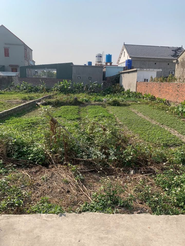 Đất nền Đông Triều 229.5m² 9xx triệu - Sổ đỏ chính chủ!