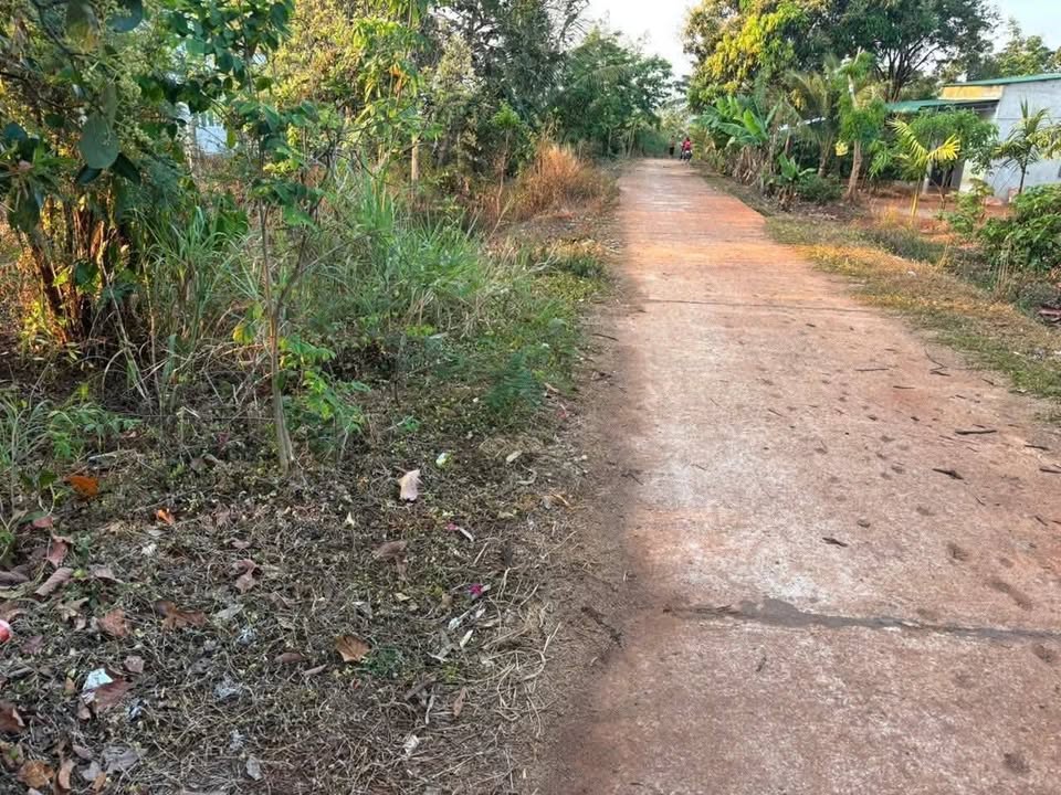 Đất nền Buôn Lux, Ea Kuêh 531m² giá 229 triệu - Đất thổ cư 100%