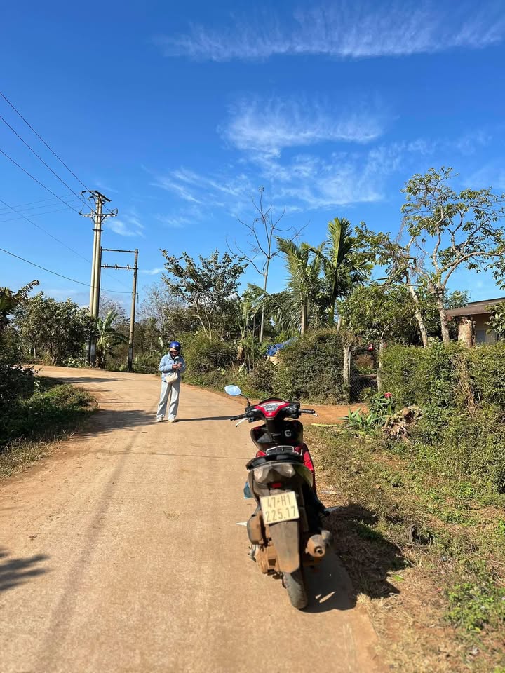 Đất nền Cư Dliê M'nông 7200m² - Sổ hồng chính chủ, đường bê tông!