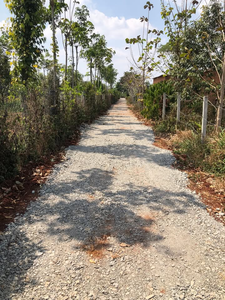 Bán Đất Cư M'gar Đắk Lắk 720m² - Sổ Hồng Riêng, Giá 800 Triệu