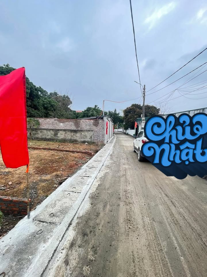 Đất Nền Vĩnh Phúc 112m² - Đầu tư sinh lời tại Thanh Vân, Tam Dương