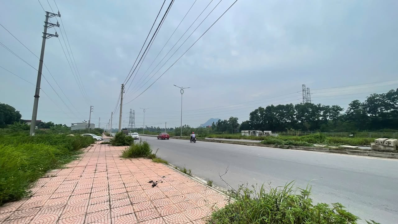 Đất Vàng Kinh Doanh Tỉnh Lộ 310 Kim Long, Vĩnh Phúc - 100m², Mặt Tiền 5m