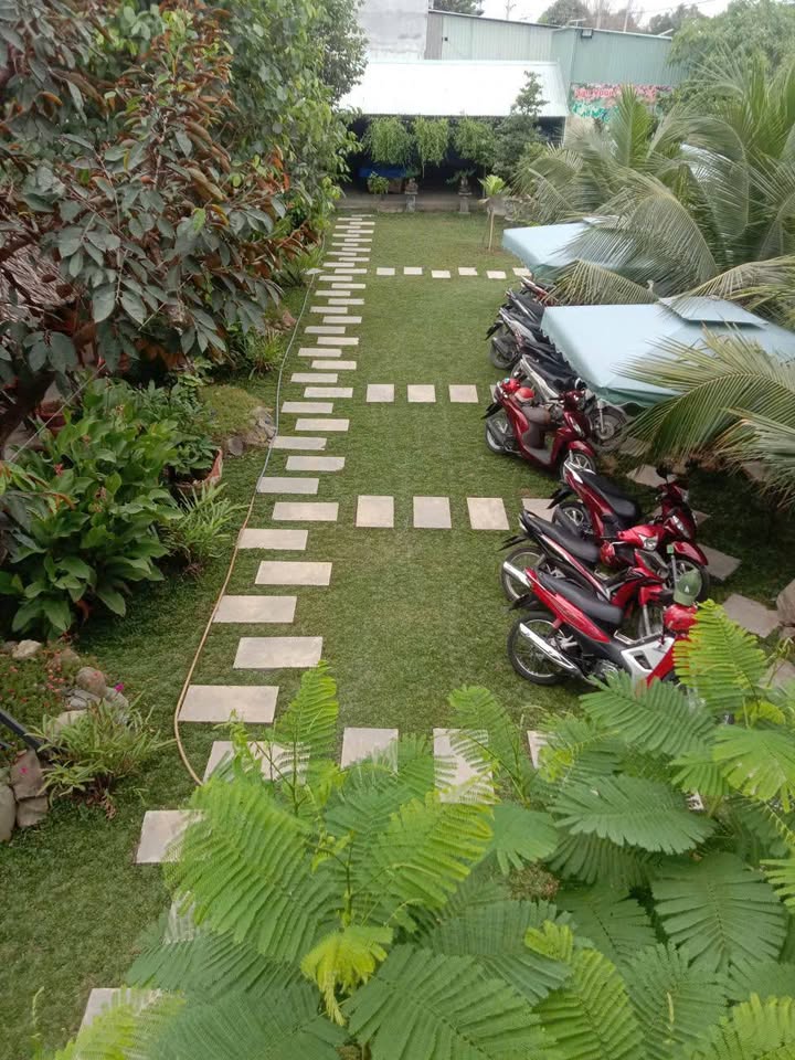 Mặt bằng kinh doanh 900m² MT Quốc lộ N2, Đức Hòa - Giá 12 triệu/tháng