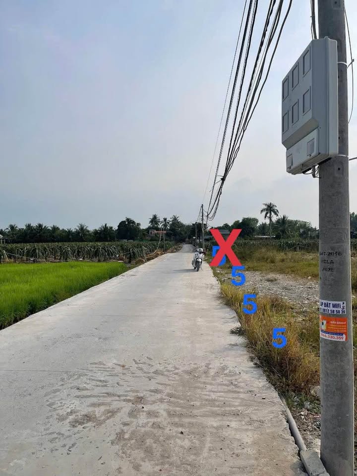 Đất nền Bến Lức 125m² giá 650 triệu - Xây dựng tự do!