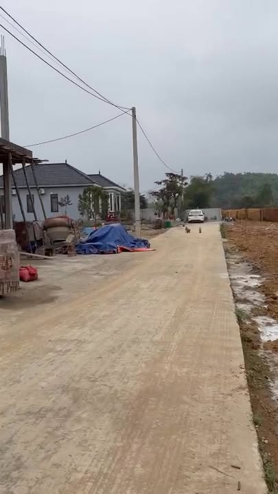 Đất nền Lý Nhân, Tuyên Quang 125m² - Giá 950 Triệu, Lộc Đầu Xuân