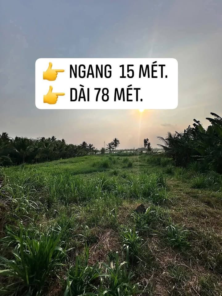 Đất nền Vũng Liêm 1200m² - Tiềm năng tăng giá vượt trội!