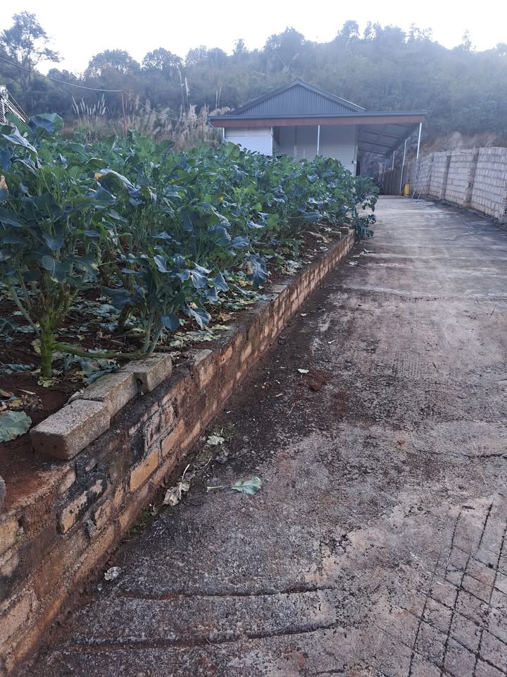 Bán đất nền TDP Bó Bun, Mộc Châu - 360m² sổ hồng sẵn, giá 5 tỷ