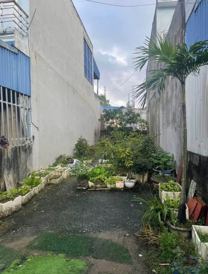 Đất Nền Nam Định 75m² Ngõ Điện Biên - Ô tô vào đất, giá 1.79 tỷ