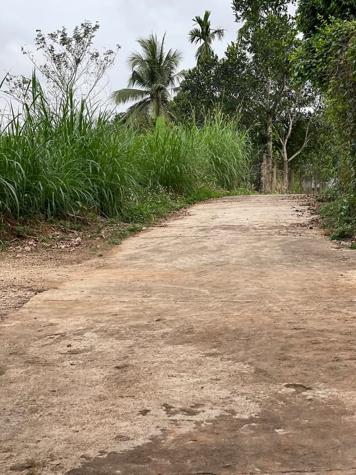 Đất nền Phường Hoà Hiếu 1640m² - Đất thổ cư 100%, nở hậu phong thủy tốt!