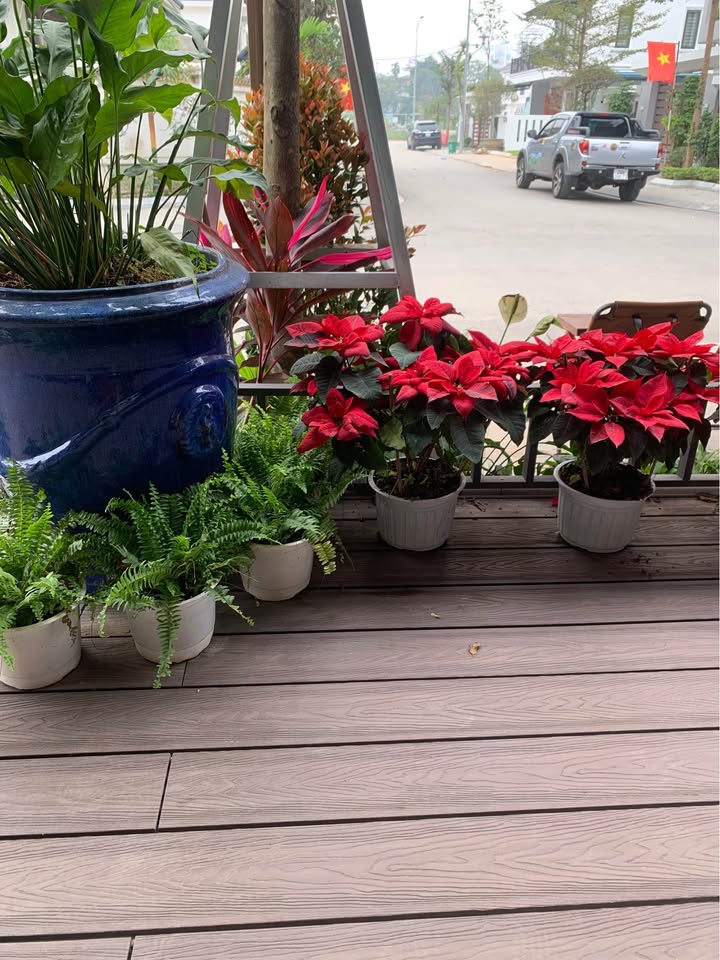 Bán gấp đất nền 93m² Phường Nông Tiến, Tuyên Quang - Ô tô vào nhà, giá tốt