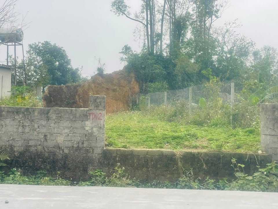 Đất nền Nam Thái Nam Đàn 217m² giá 1 tỷ - Tiềm năng tăng giá!