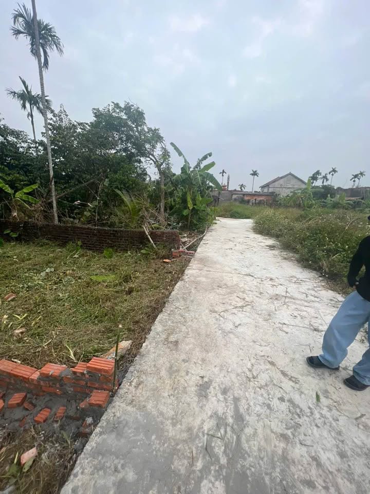 Đất nền Kiều Hạ, An Dương từ 49.5m² - Đường to ô tô