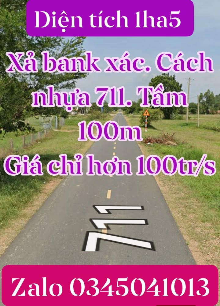 Đất Farm Hàm Thuận Bắc 15000m² - Sổ đỏ chính chủ, đầu tư sinh lời!