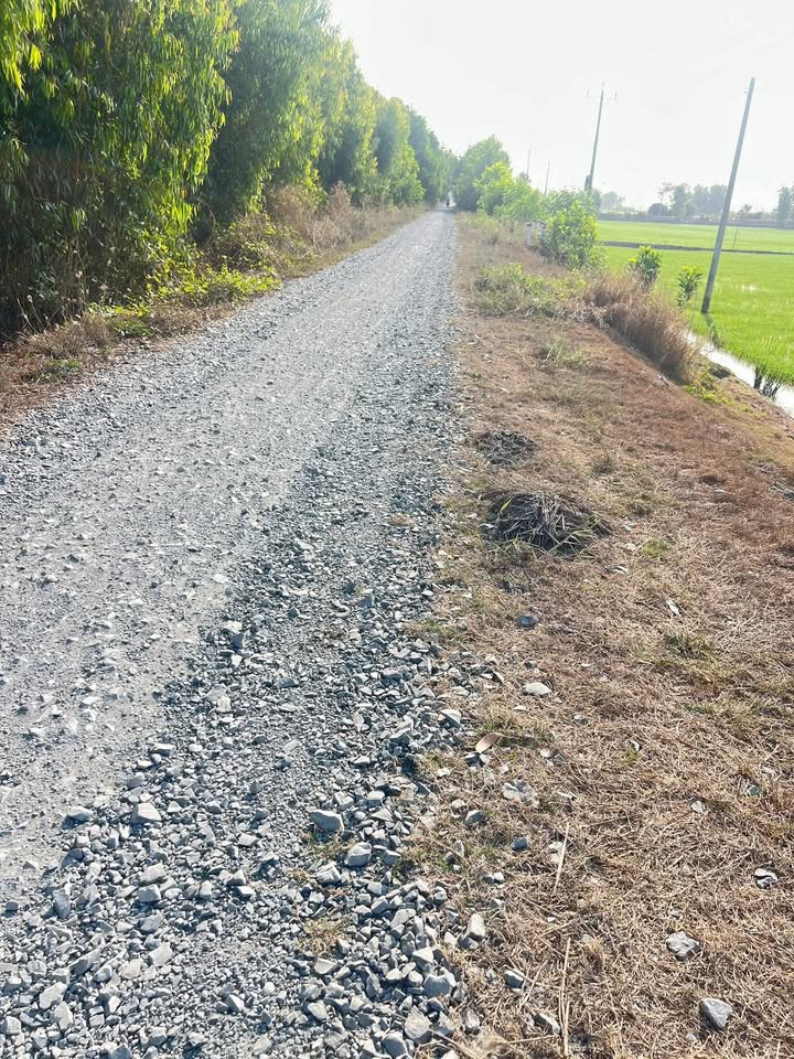 Đất vườn Tân Phước 9000m² giá 4.5 tỷ - Tiềm năng đầu tư lớn