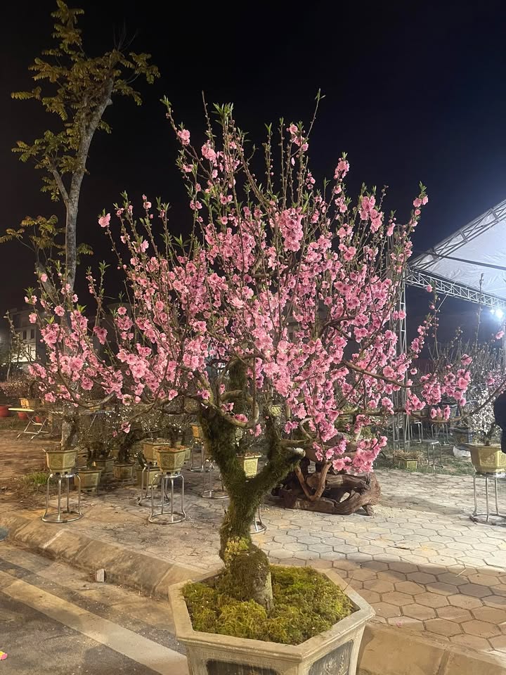 Đất nền Sóc Sơn 105m² - Đầu tư sinh lời, view sân bóng