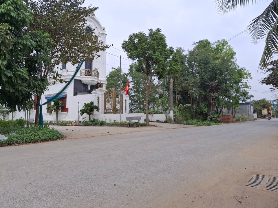 Đất nền Yên Ninh, Thanh Hóa 150m² - Hướng Đông Nam, Sổ đỏ, Giá chỉ từ 1.1 tỷ