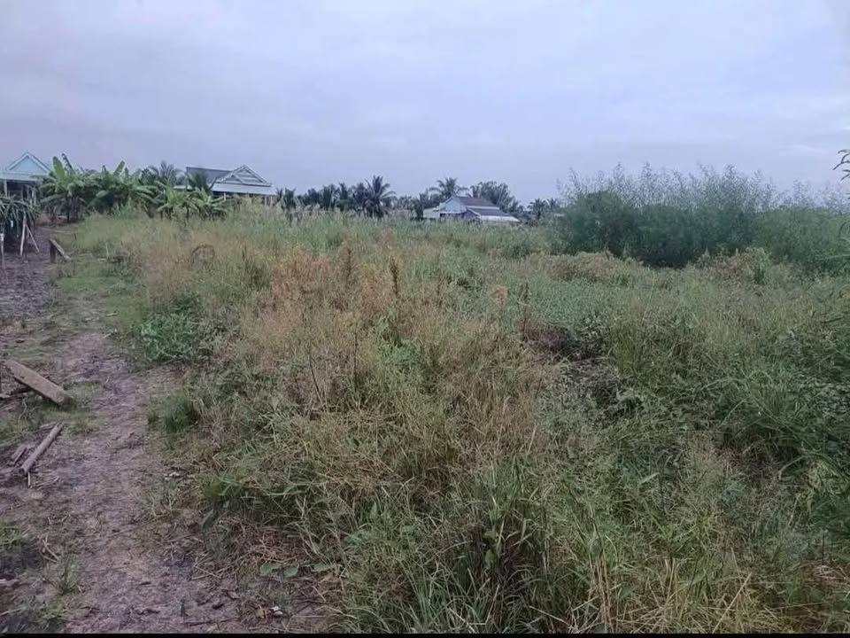 Đất Lúa Long An 1600m² - Sổ Đỏ, Giá Rẻ 420 Triệu - Bán Gấp